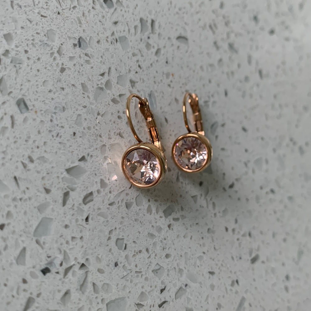 Touchstone Crystal by Swarovski Earrings